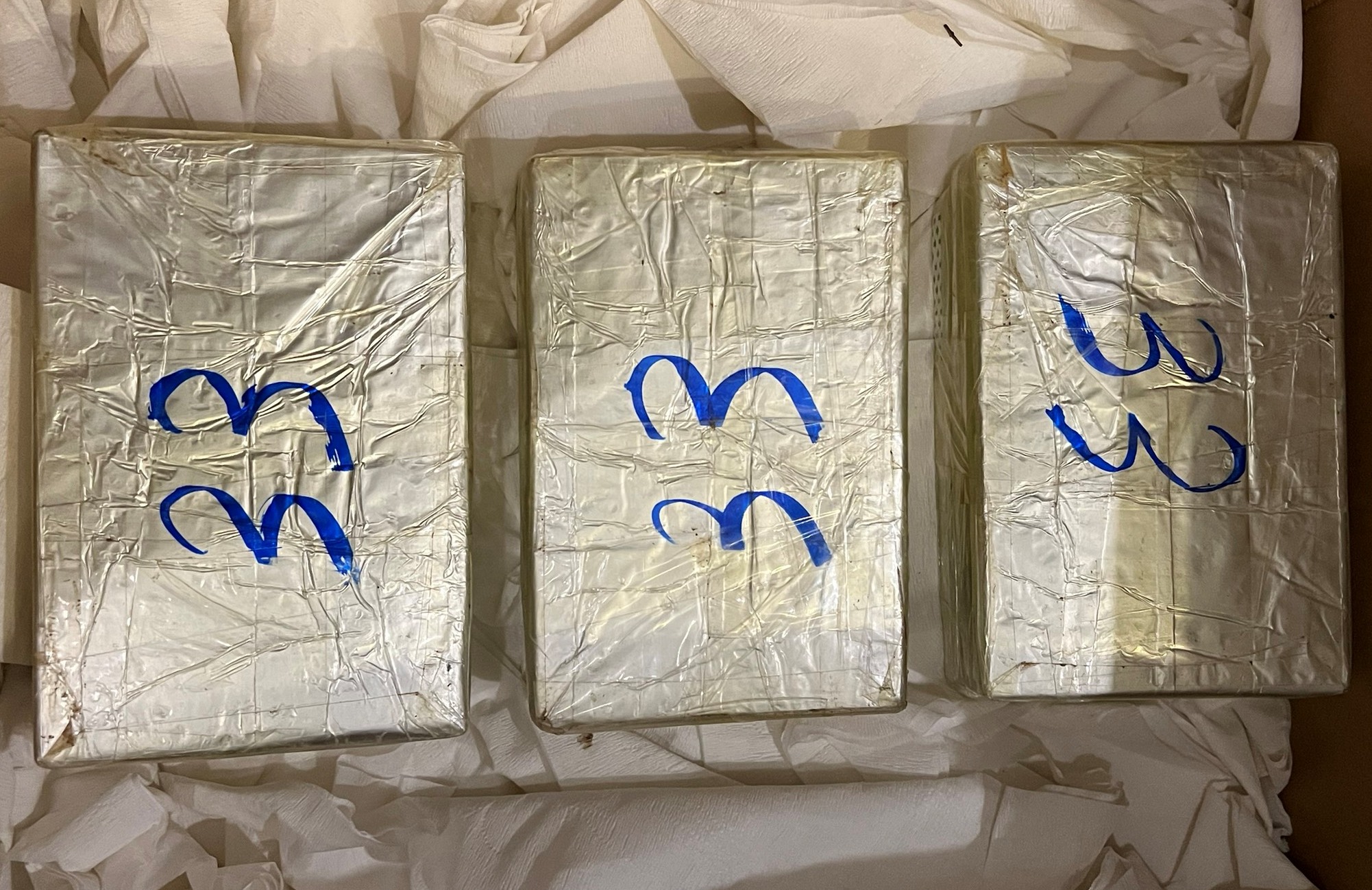 Phòng Cảnh sát ĐTTP về ma tuý: Phá đường dây mua bán, vận chuyển trái phép chất ma túy từ Điện Biên về Hải Phòng 